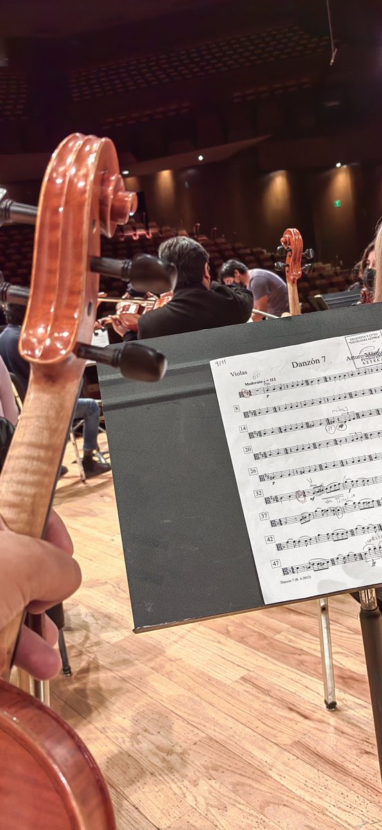 vFForgo's tweet image. E tenido muchas experiencias buenas de crecimiento y superación pero una de las mejores sin duda fue regresar a las orquestas y tocar  en la grandiosa sala Nezahualcóyotl ❤️ se que en este año haré más cosas. Espero...