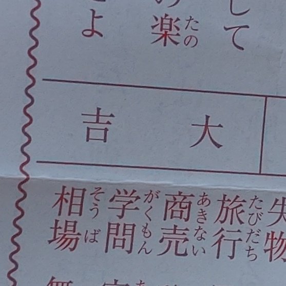 中吉(靜岡縣護國神社)
大吉(静岡浅間神社)
凶(久能山東照宮)
中吉(御穂神社)

うーん🤔 