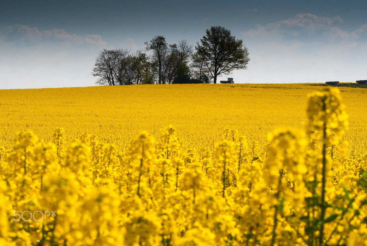 Mehmet84893569's tweet image. 