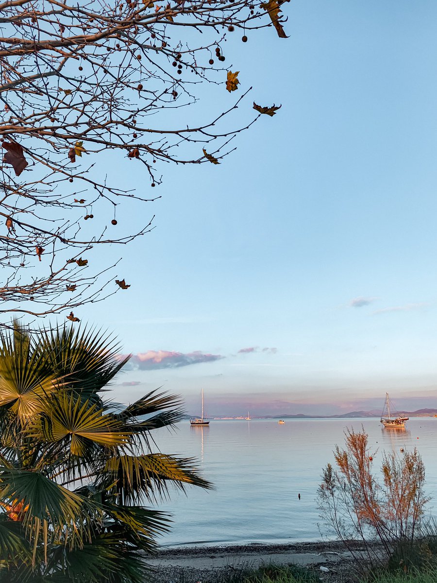 ika the sailorwoman tweet media