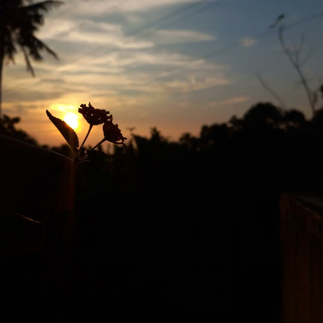 My Mobile phone photography
#sunset #photography #travel #photo #beautiful #nature #summer #beach #nofilter #sun #sky #clouds #Samsung #sumsunggalaxya22 #Kerala #india #worldphotography #TrendingNow #Trending