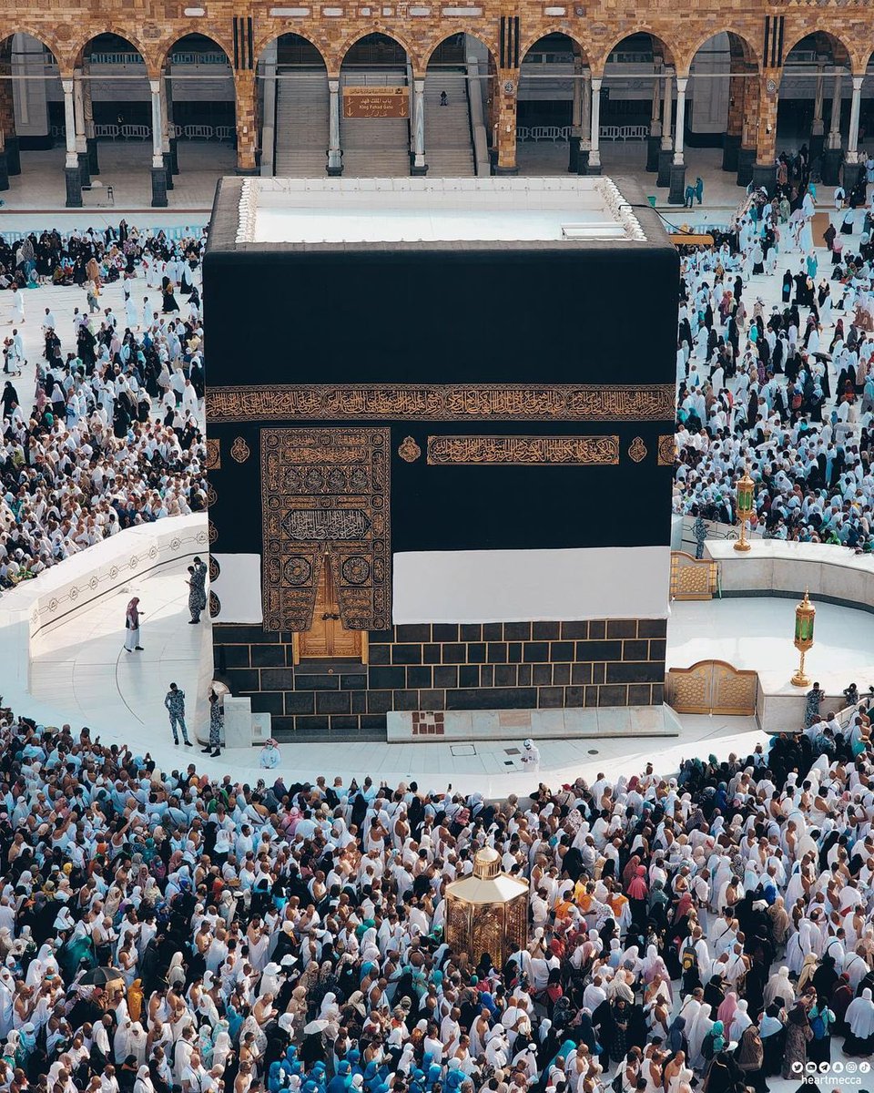 Alhamdhulillaah's tweet photo. رب إني لما أنزلت إلي من خير فقير 

[Rabbi innī limā anzalta ilayya min khayrin faqīr]

My Lord! I am indeed needy of whatever good You may send to me https://t.co/C6y7B6y4g3