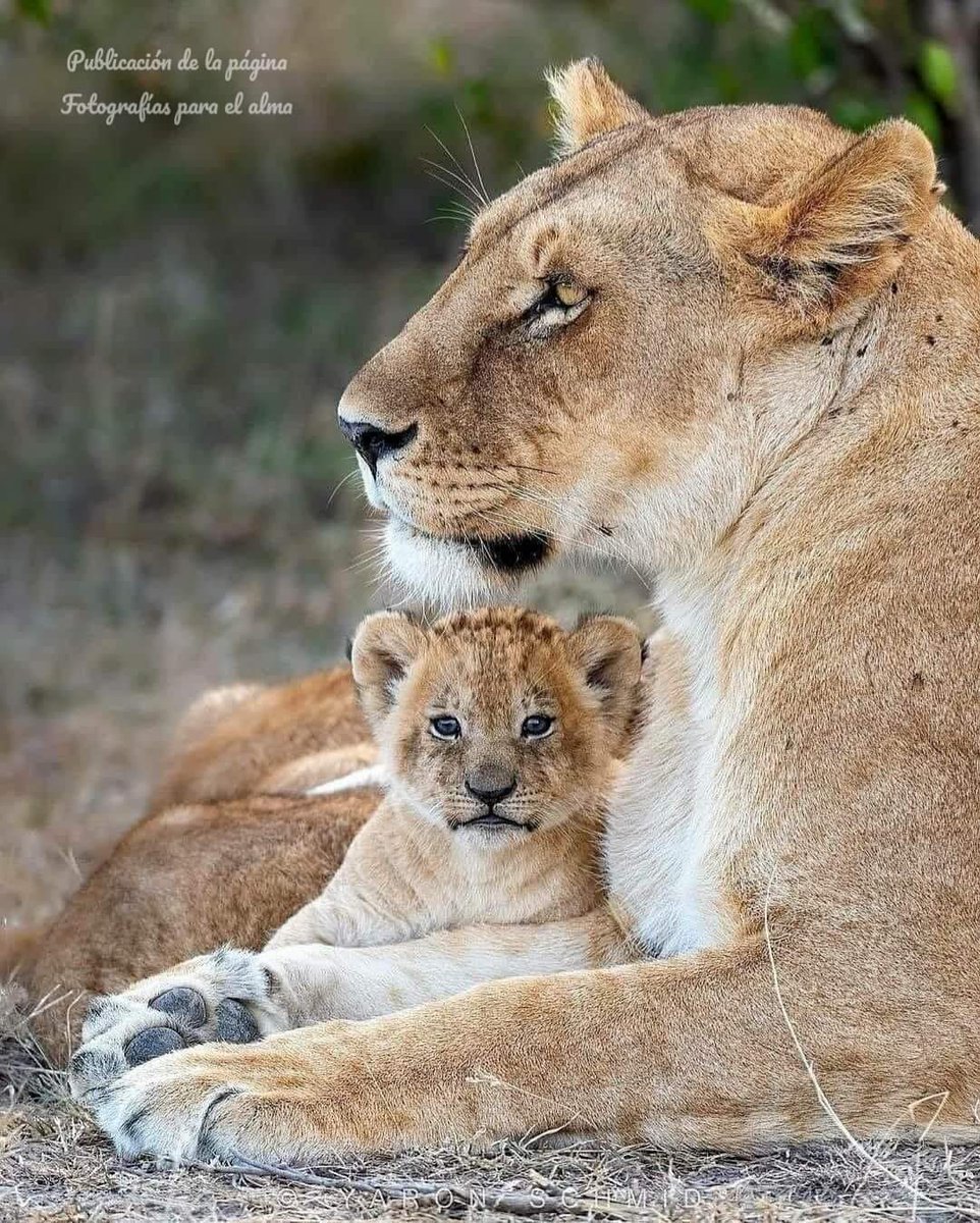 NELLYTSHELAMUT's tweet photo. Voulez-vous être #heureux ?
Sachez vous #contenter de ce que vous avez!
Ne vivez pas au dessus de vos ressources.
Évitez de paraître, soyez vous-mêmes!
Soyez vous-mêmes !
Les autres sont déjà pris ! https://t.co/sBjBRiRwch