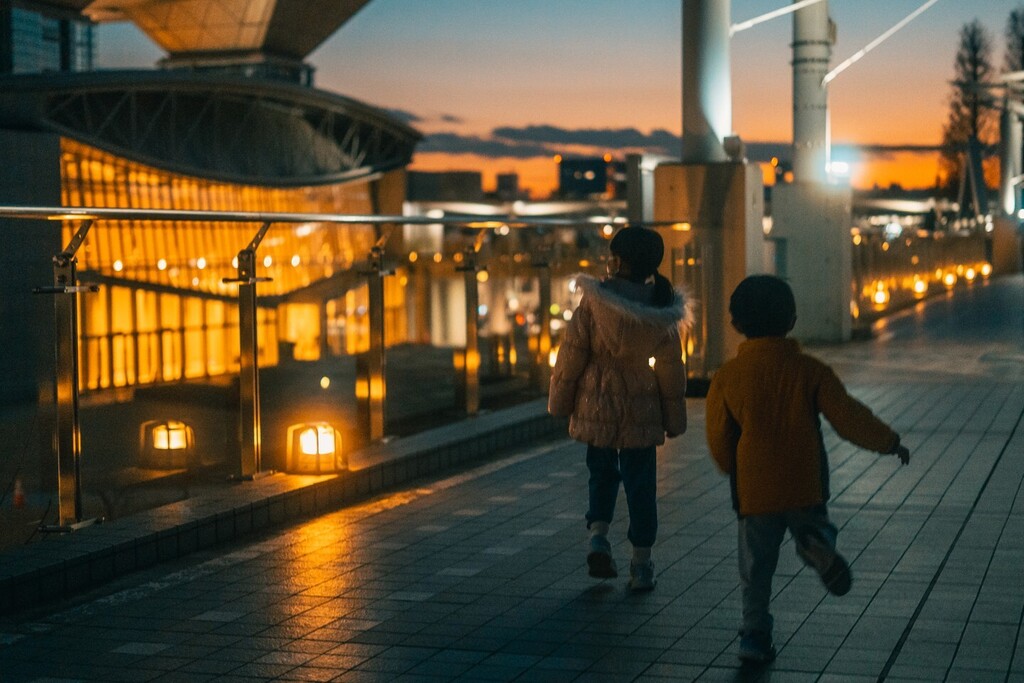 50mm, F1.8, 1/200s, iso4000

#a7c #sony #SonyAlpha #sel50f18f #blackmist #Tokyo #japan #ビッグサイト #お台場 #childphotography #streetphotography instagr.am/p/Cm51drGJFb8/