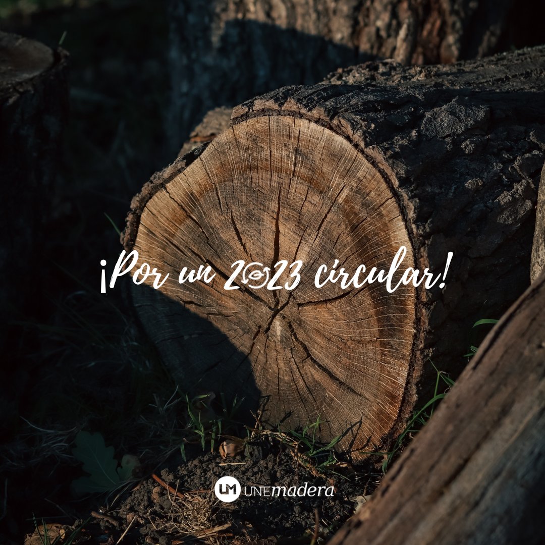 unemadera's tweet photo. ¡Por un 2023 circular! 🪵♻️

#UNEmadera #PlanetaMadera #industria #madera #mueble #bosque #sectorforestal #sostenibilidad #sostenible #circular #patronal #navidad #felicesfiestas https://t.co/tfFQKSOor3