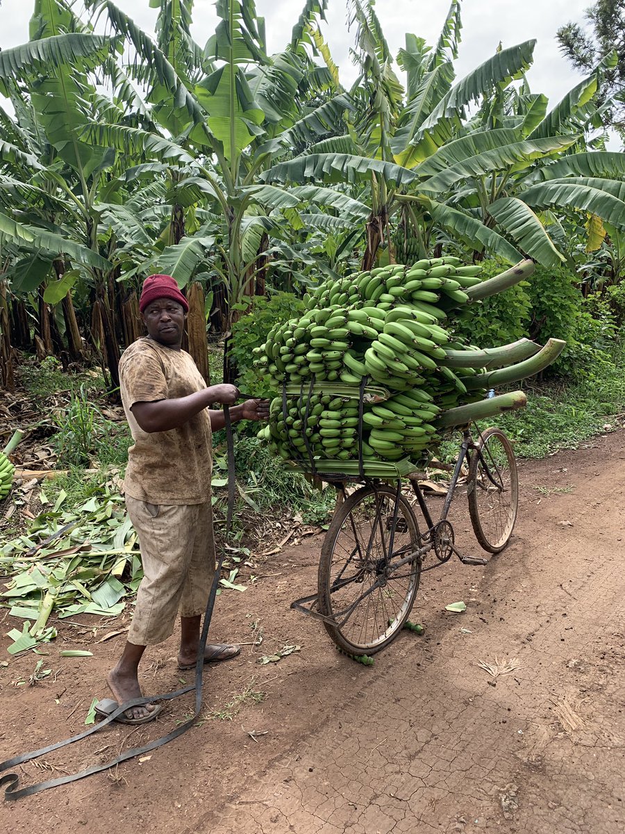 david_0741's tweet photo. @Anibal_Bueno_ Acabo de terminar uno de los grandes viajes de mi vida: Tanzania + Zanzíbar. Qué maravilla de país, qué gente, qué comida, qué todo... https://t.co/wRZ2jgqNZ0