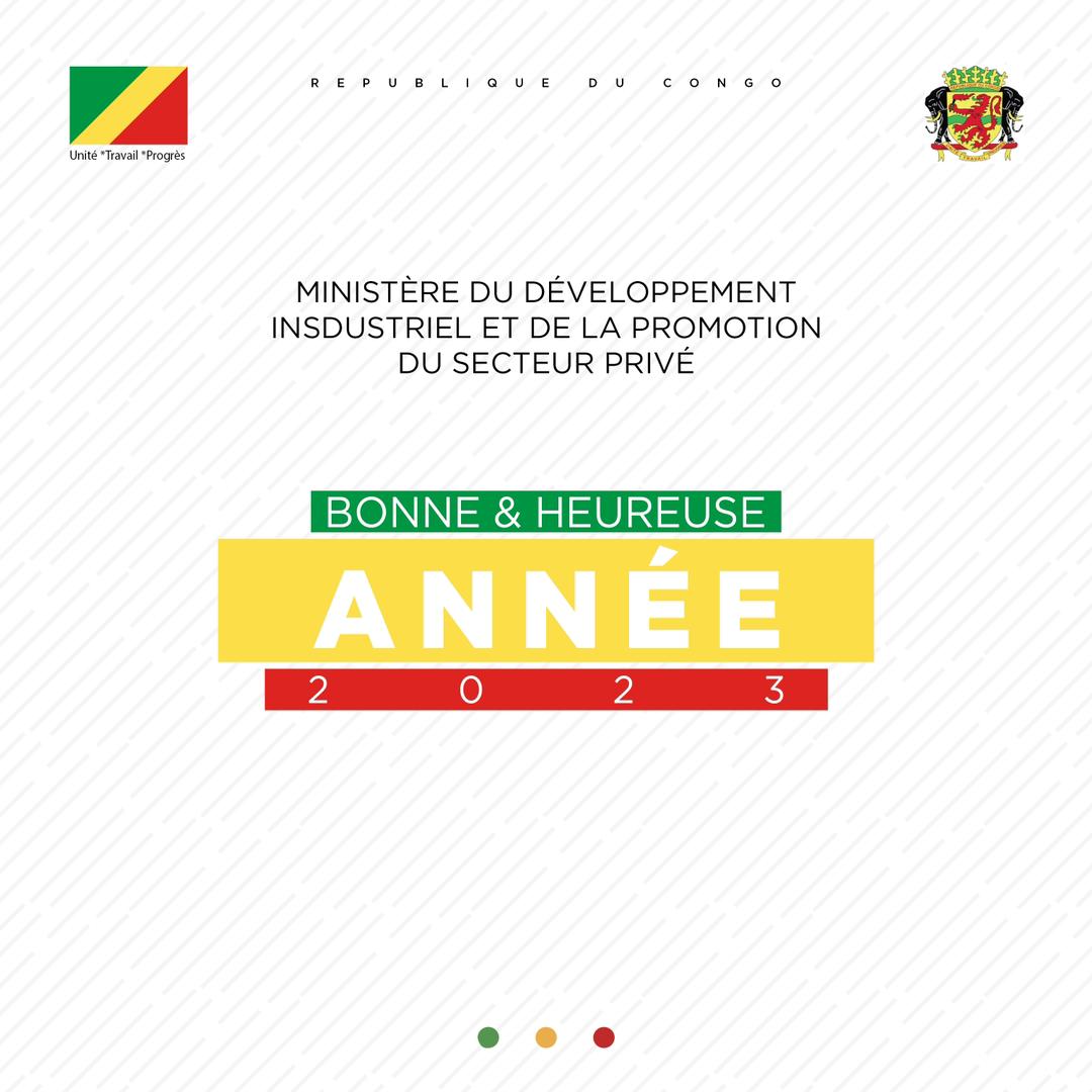 Ministère du Développement Industriel-Congo (@industriecg) on Twitter photo 