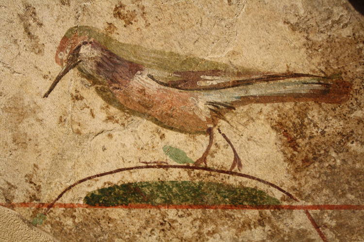 whencyclopedia's tweet photo. Happy #NationalBirdDay! 🐦

A fragment of wall fresco from a Roman villa depicting a bird. 2nd century CE. (Archaeological Museum, Como, Italy). https://t.co/VrhoROBZdL https://t.co/mTe4gzPH7H