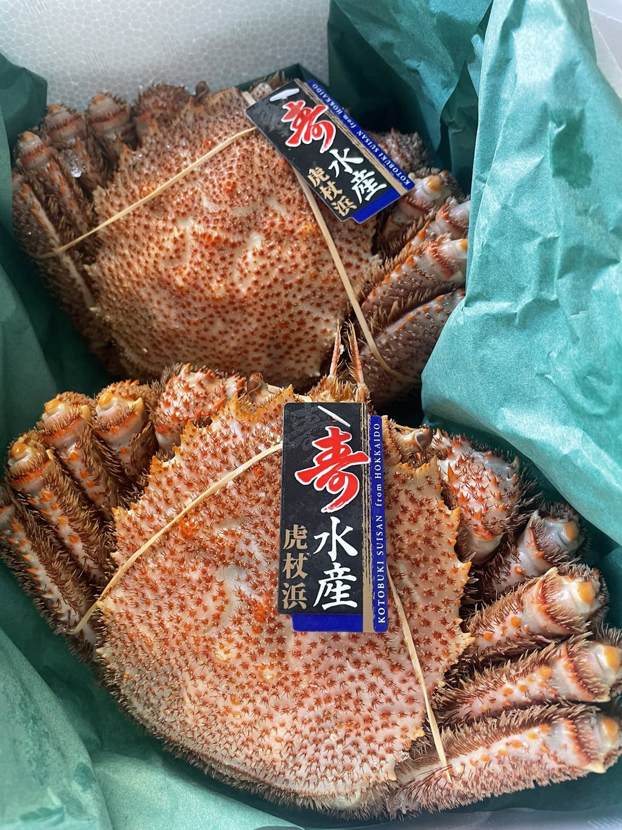 poconaru358's tweet photo. #かに　#虎杖浜
立派なカニ、何年ぶりかしら。頂きます🐷 https://t.co/2D061iXYL9