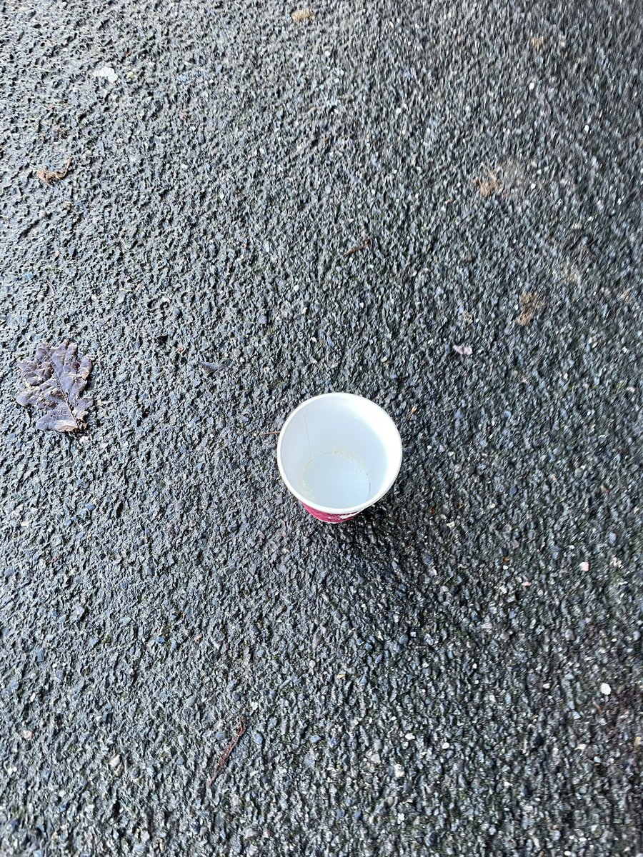 Thankyou to the lovely lady <a href="/CostaCoffee/">Costa Coffee</a> flackwellheath for the birthday pupachinos very happy dogs #birthdaydog