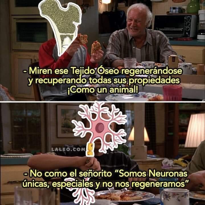 EnsedeCiencia's tweet image. 