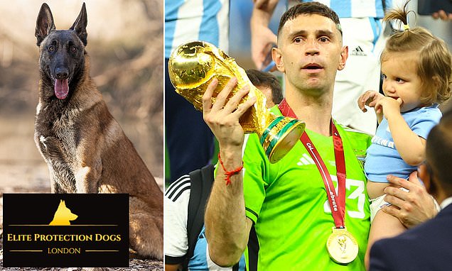🚨 Emiliano Martinez has bought himself a new £20,000 guard dog to protect his home and World Cup medals in England. 

It's a Belgian Malinois trained for the special forces. 

(Source: Daily Star)