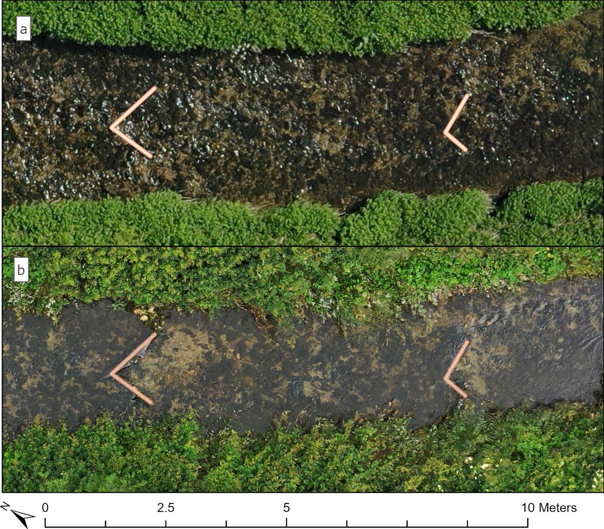 Duncan Philpott tweet media