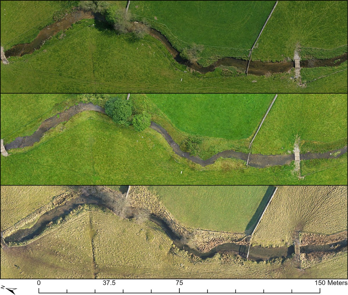 Duncan Philpott tweet media