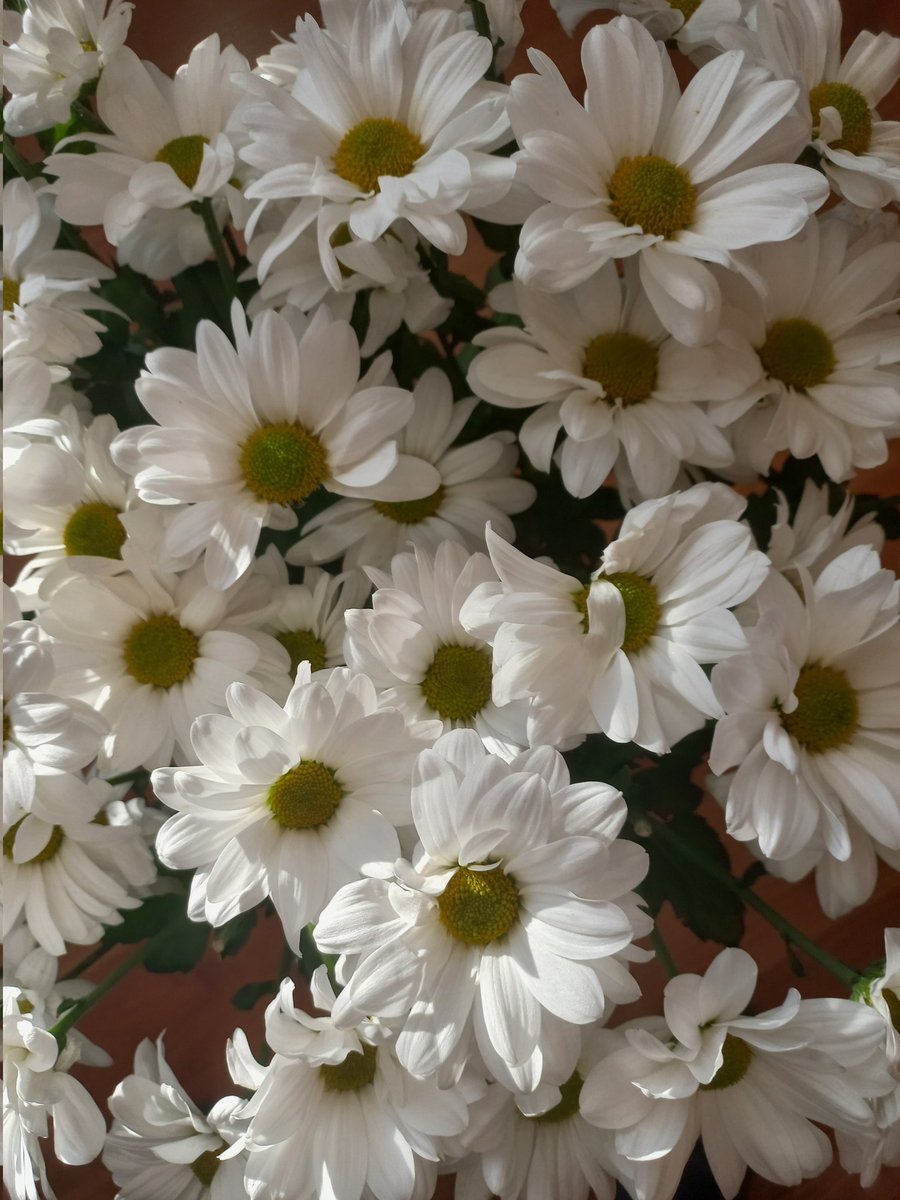 Внимание без повода — самый ценный подарок.