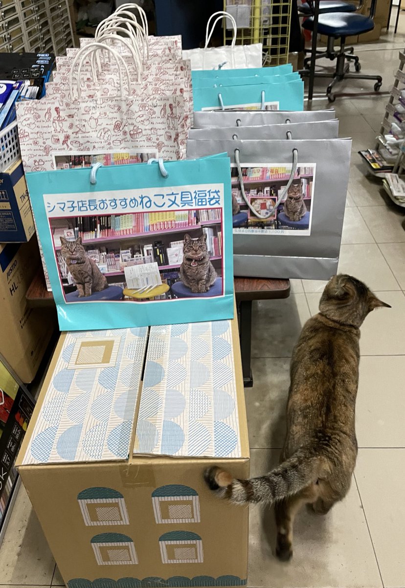 nyannendo's tweet photo. シマシポからのお知らせ。
まだ福袋が完成していませんので、明日2023/01/03の開店時間は11時15分です。
早く来ても抽選なので並ばなくて大丈夫です。(サブイので並ばないでね)

間に合うのー？とシポ子が心配して巡回していました。 https://t.co/NM4KDExJdw