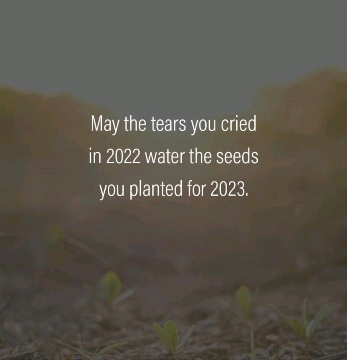 willpenner's tweet image. 