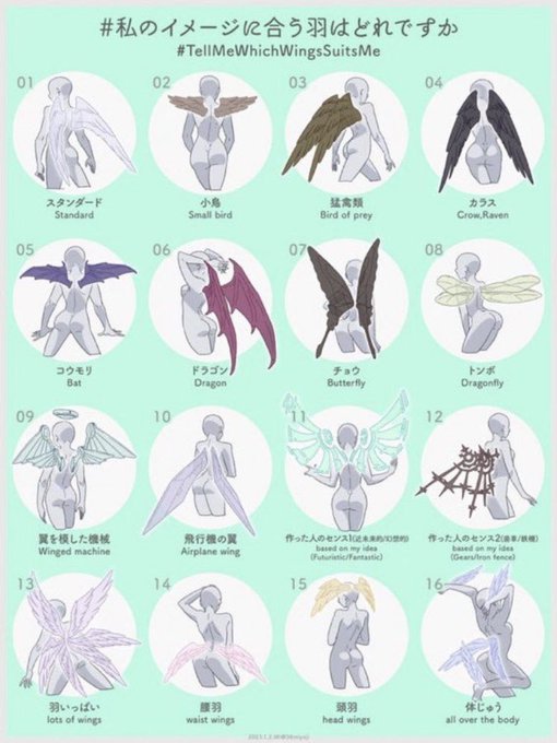 #私のイメージに合う羽はどれですか 