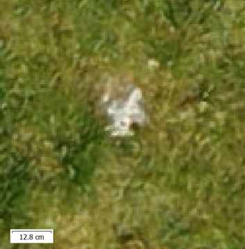 Duncan Philpott tweet media