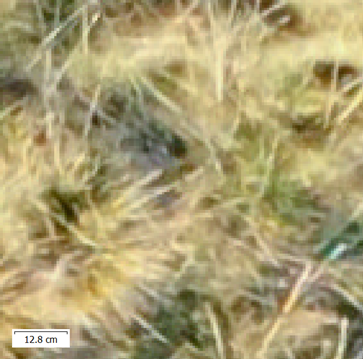 Duncan Philpott tweet media