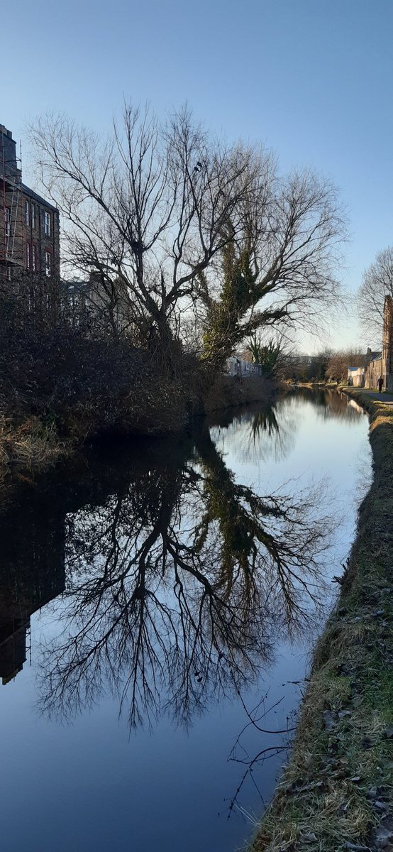 Hugh Brechin tweet media