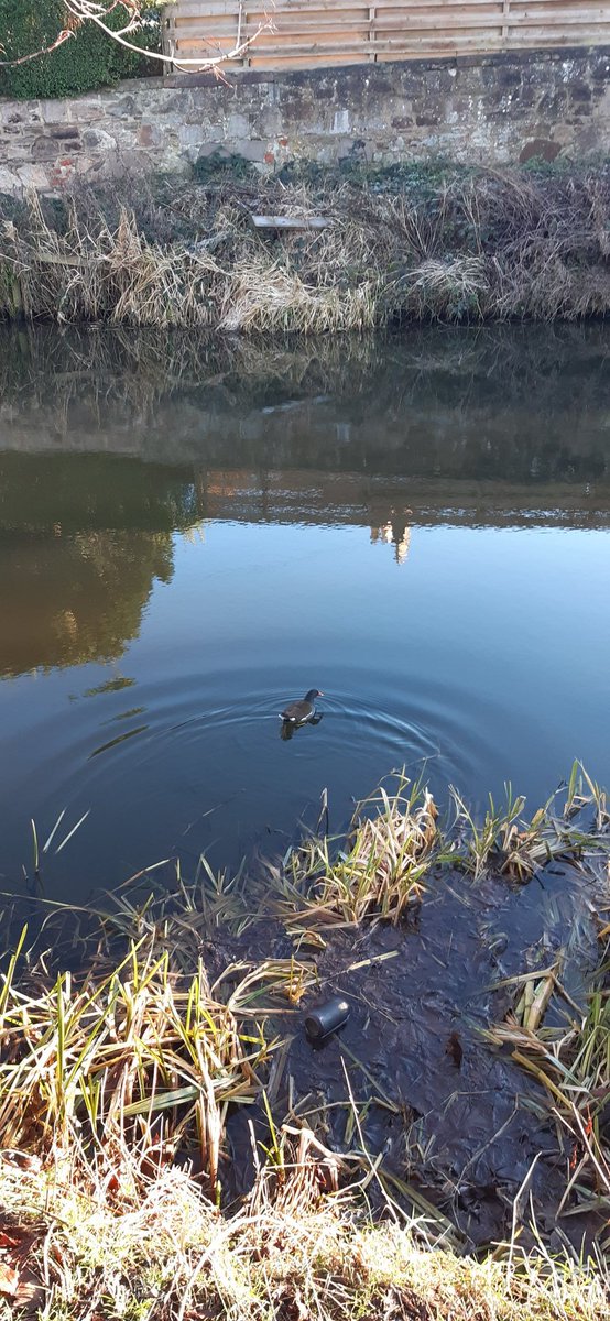 Hugh Brechin tweet media