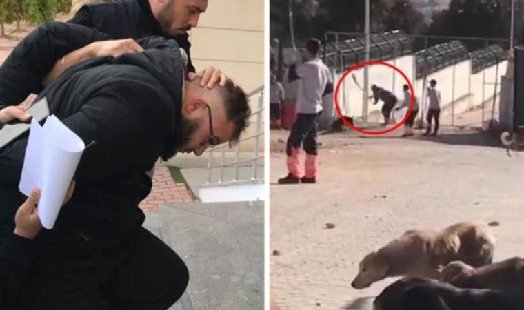 cumhuriyetgzt1's tweet photo. Konya Büyükşehir Belediyesi’ne ait barınakta, köpeği kürekle vurarak öldüren Murat Bacak ile sürükleyerek götüren Sefa Çakmak çıkarıldıkları ilk duruşmada 'tahliye' edildi
https://t.co/YjAgY0HZen https://t.co/AWR537r4rC