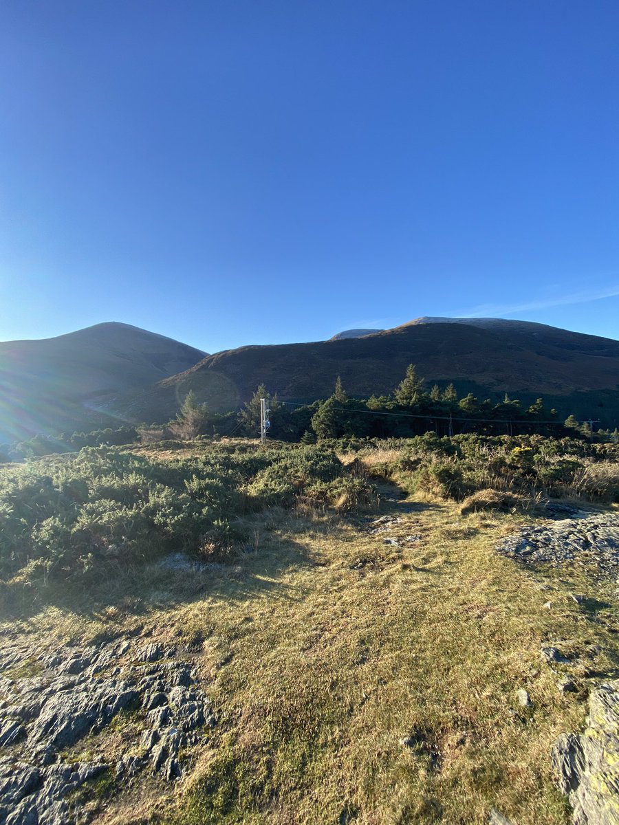 Brian Wilson tweet media