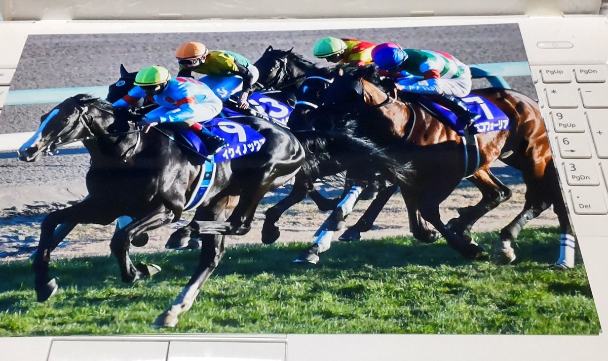 rinharu1222's tweet image. 「安平のレジェンド氏」から写真を頼まれまして、A4印刷中💻
#イクイノックス 　#Equinox
#有馬記念2022