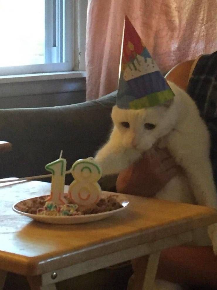 ellamushi_'s tweet photo. @caitibugzz proud of how far you’ve come since you started streaming at 16, happy birthday bugzz https://t.co/o3i7RmSAmQ