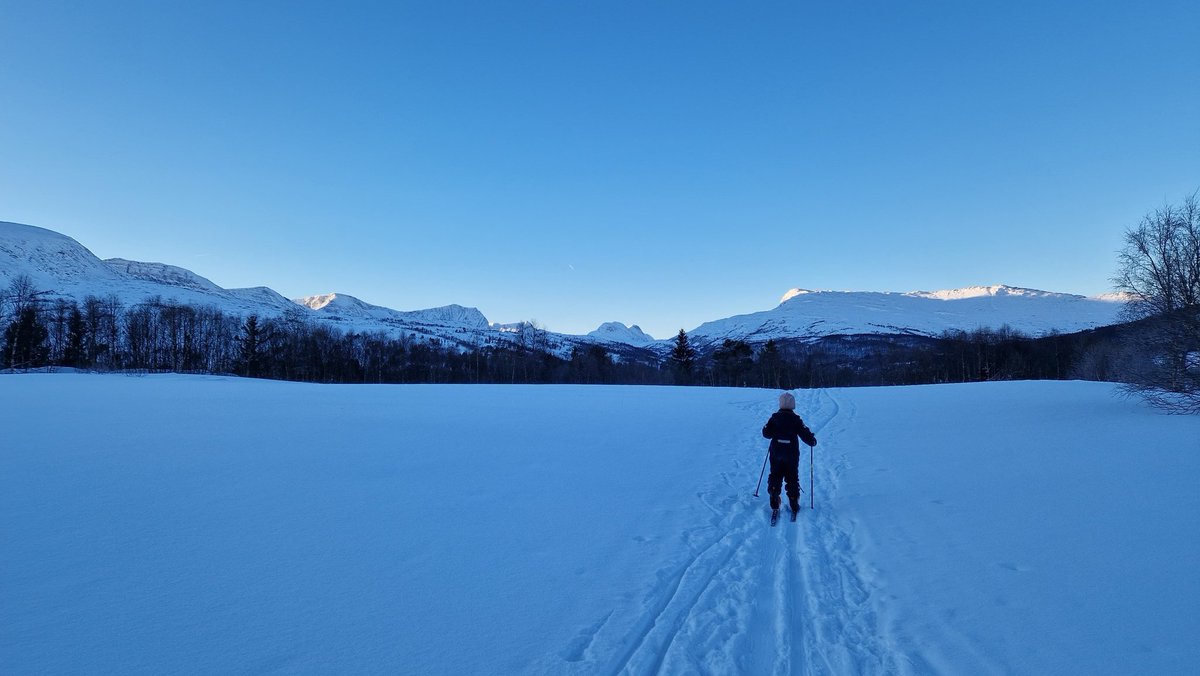 Perfect start to the new year. Cross country skiing in crispy conditions. Happy new year!