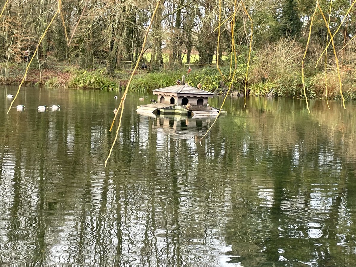 Jacqui07108033's tweet photo. #100Daysofwalking #200daysofwalking #cardiacrecovery
Day 1 walking in the castle park and by the river Nore fab https://t.co/dmWuZDZe8K