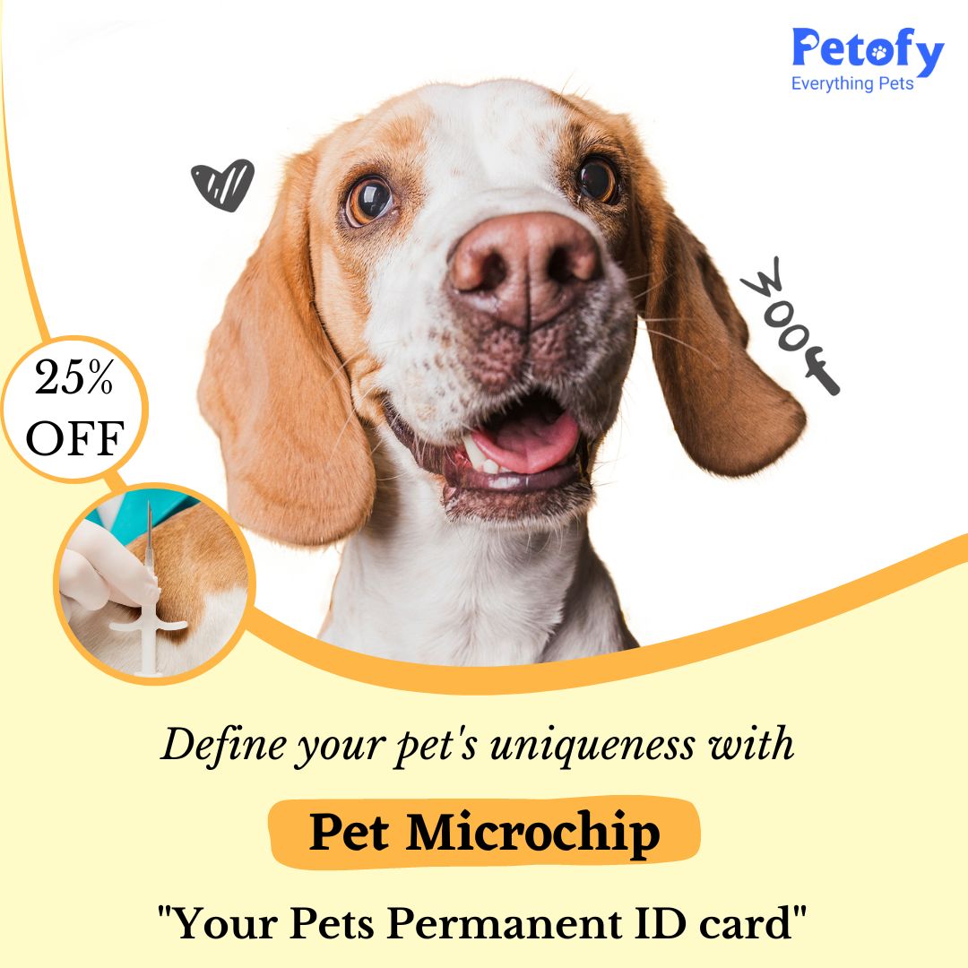 Secure, safe, and easy way of Pet Identification - Pet Microchip! 👈
DM for link
.
.
#petmicrochip #microchipfordogs #petsecurity #petofy #petmicrochipped #microchipping #petsofinstagram