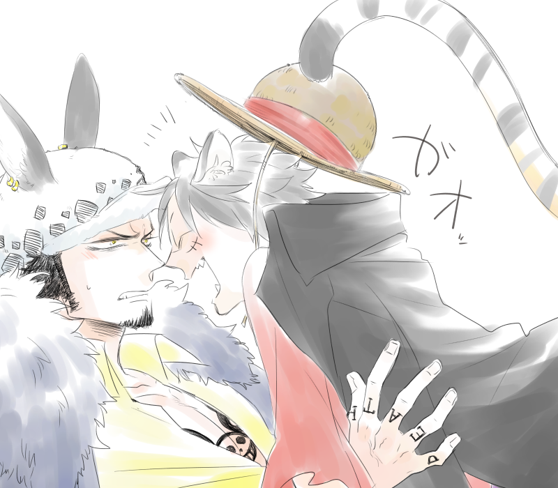 トラファルガー・ロー 「で干支。なのに。猿(モンキー)なのに。 」|ただの鳥のイラスト