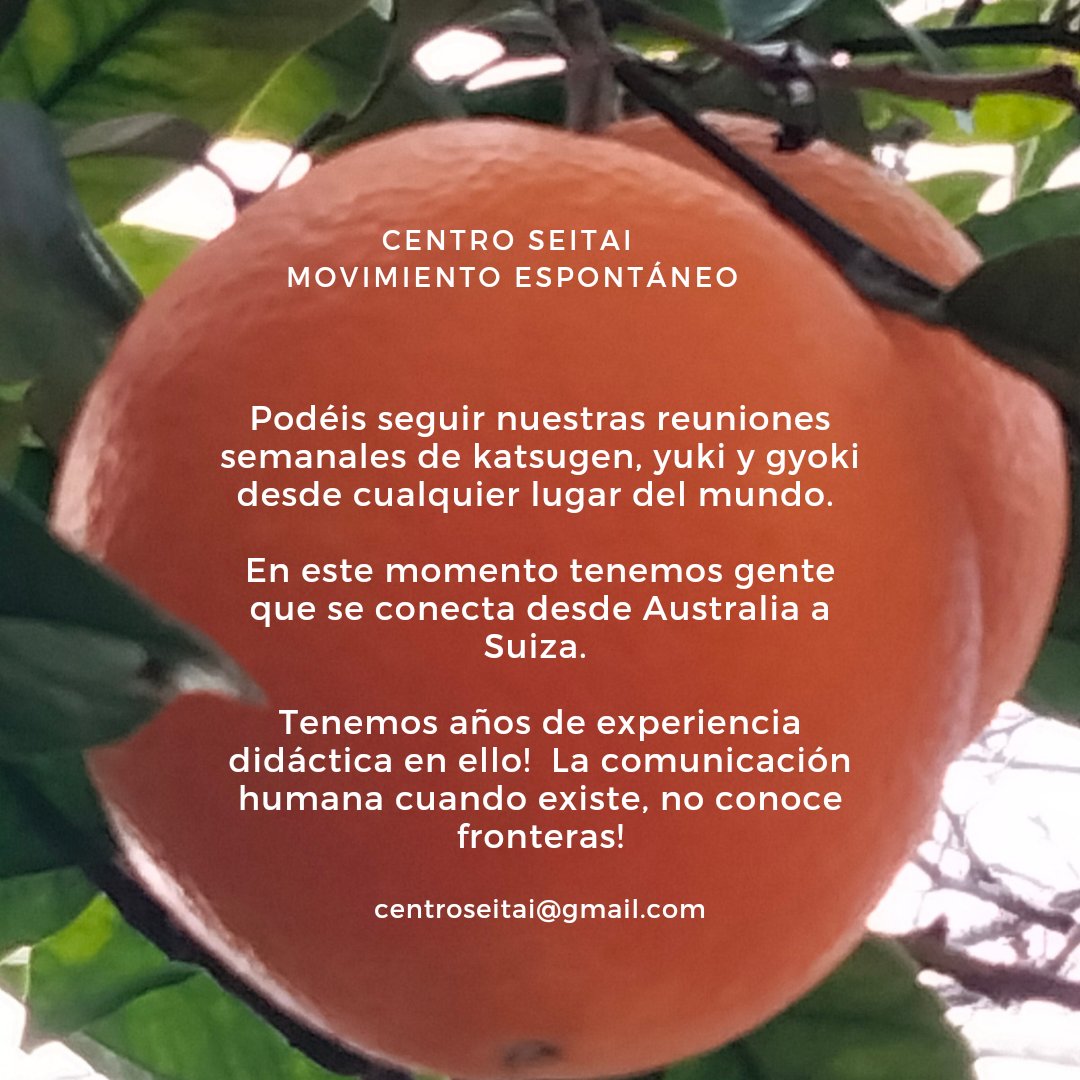 CentroSeitai's tweet photo. 🔗Ofrecemos las reuniones también on LINE para que estés donde estés, té puedas conectar!
#seitaionline #katsugenundoonline #katsugen #katsugenundo #seitai #yuki #gyoki #respiracionconsciente #respiracion https://t.co/02IysrKbGL