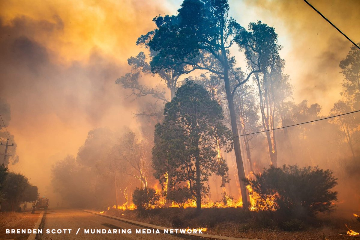 owen_briffa's tweet photo. The Department of Fire and Emergency Services (DFES) are warning this week, prolonged weather conditions will increase the bushfire risk throughout southern parts of Western Australia.
@6NewsAU #WANews #WAWeather #BushfireUpdate https://t.co/Lu9TTEr06n