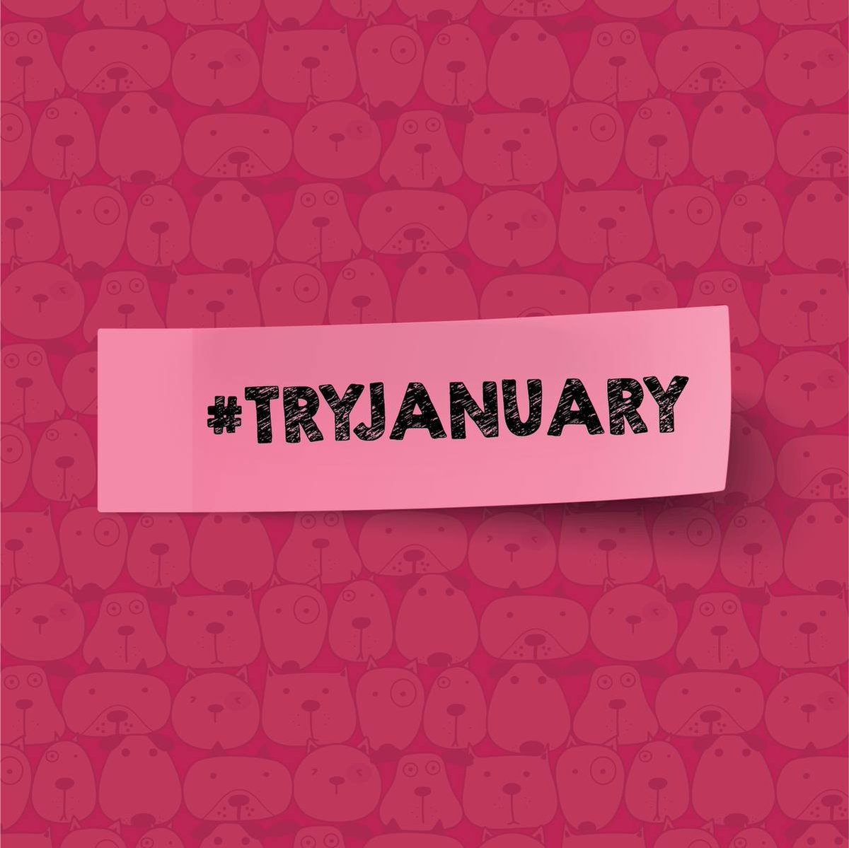 It’s time for a fresh start! 🐶 This January, Poppy's Picnic would love to introduce as many pet parents to feed a fresh, raw diet.

🥕 Are you a proud fresh feeder? Do you know a friend who should give raw a go?

Let's encourage each other to #TRYJanuary! 🐾

#rawfed #dogs #cats