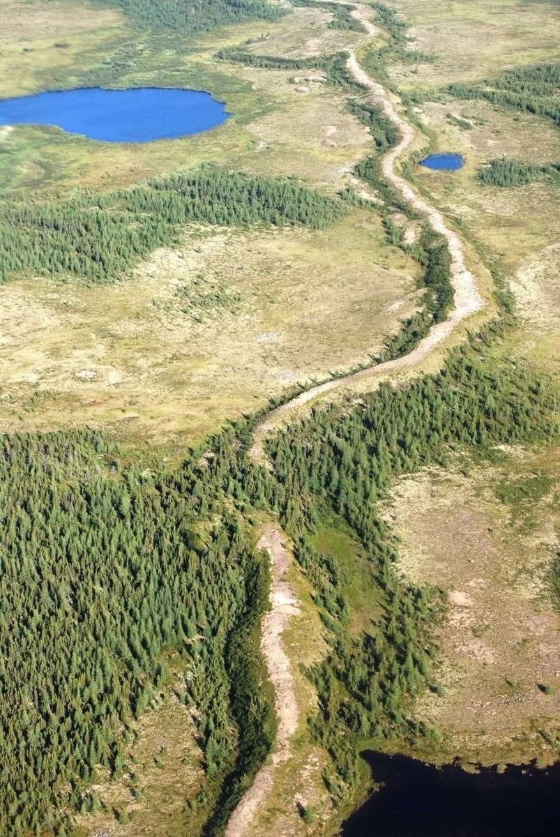 MykhailoXPIH's tweet photo. Looking back on 2022, how ironic was it that in March the #Russian tanks couldn’t breach the old earthen fortifications that #Kyivan Rus-#Ukrainians built as a defence against the invading 13th Century Mongol Horde, &amp; weren’t on the Russian maps? A thousand years of protection! https://t.co/et5dbW9RKG