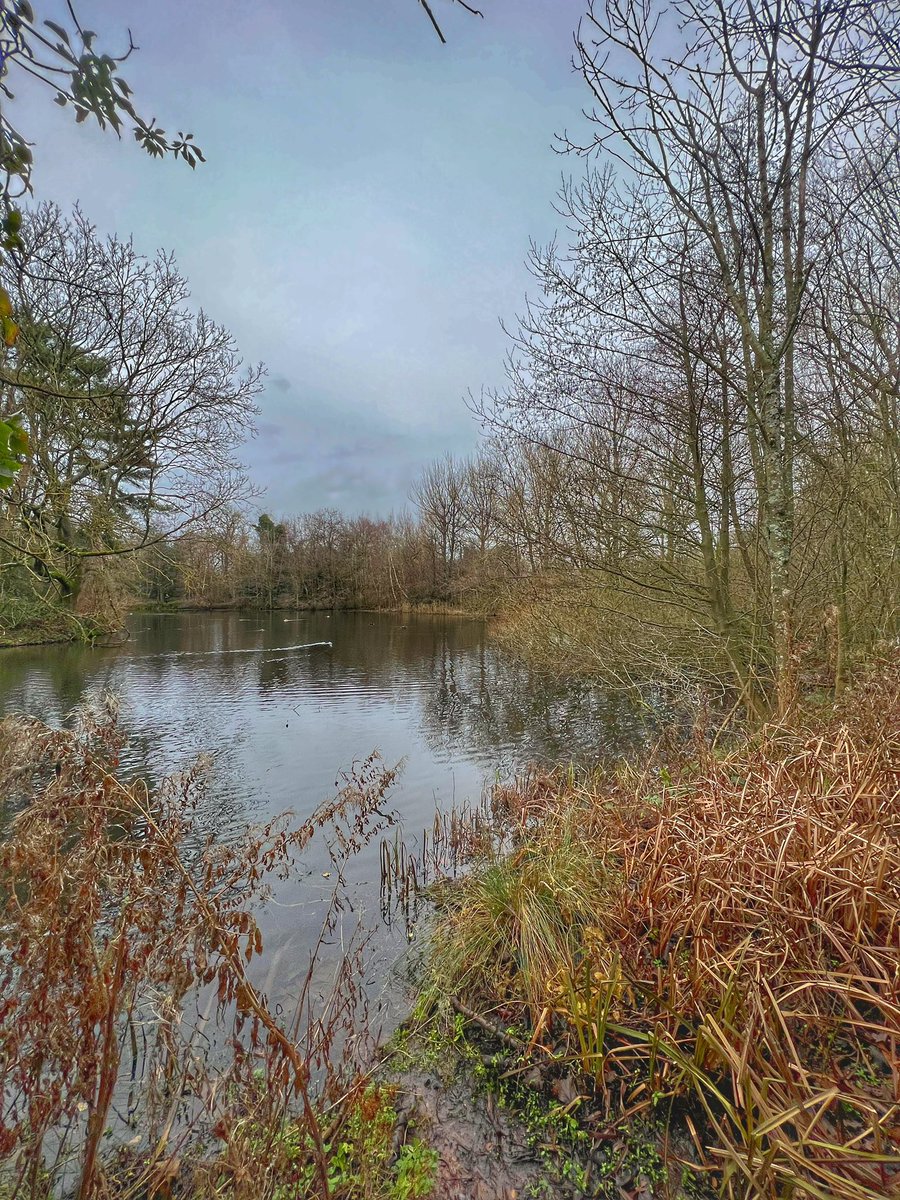 Cattan2011's tweet photo. RSPB Sandwell Valley #NaturePhotography #nature #staffordshire #WESTMIDLANDS #Reserves #landscapephotography #landscape #enjoystaffordshire https://t.co/uguvqmZNtA