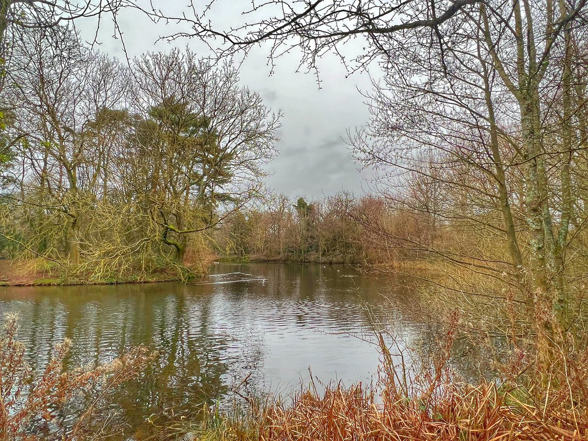 Cattan2011's tweet photo. RSPB Sandwell Valley #NaturePhotography #nature #staffordshire #WESTMIDLANDS #Reserves #landscapephotography #landscape #enjoystaffordshire https://t.co/uguvqmZNtA