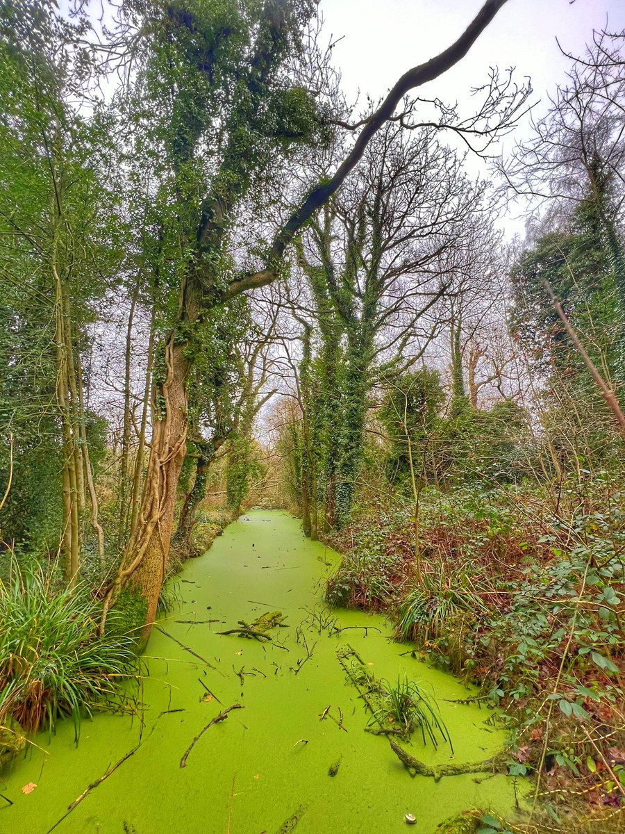 Cattan2011's tweet photo. RSPB Sandwell Valley #NaturePhotography #nature #staffordshire #WESTMIDLANDS #Reserves #landscapephotography #landscape #enjoystaffordshire https://t.co/uguvqmZNtA