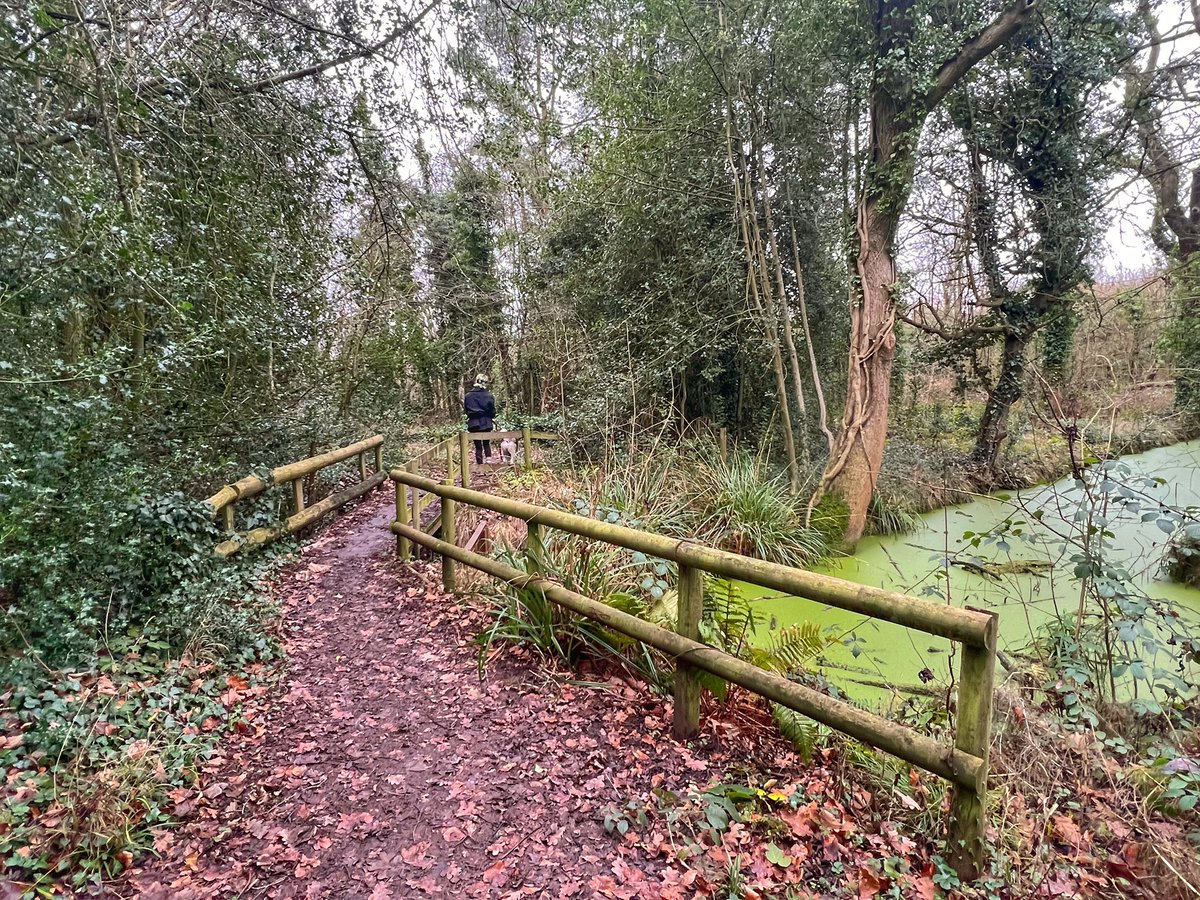 Cattan2011's tweet photo. RSPB Sandwell Valley #NaturePhotography #nature #staffordshire #WESTMIDLANDS #Reserves #landscapephotography #landscape #enjoystaffordshire https://t.co/uguvqmZNtA
