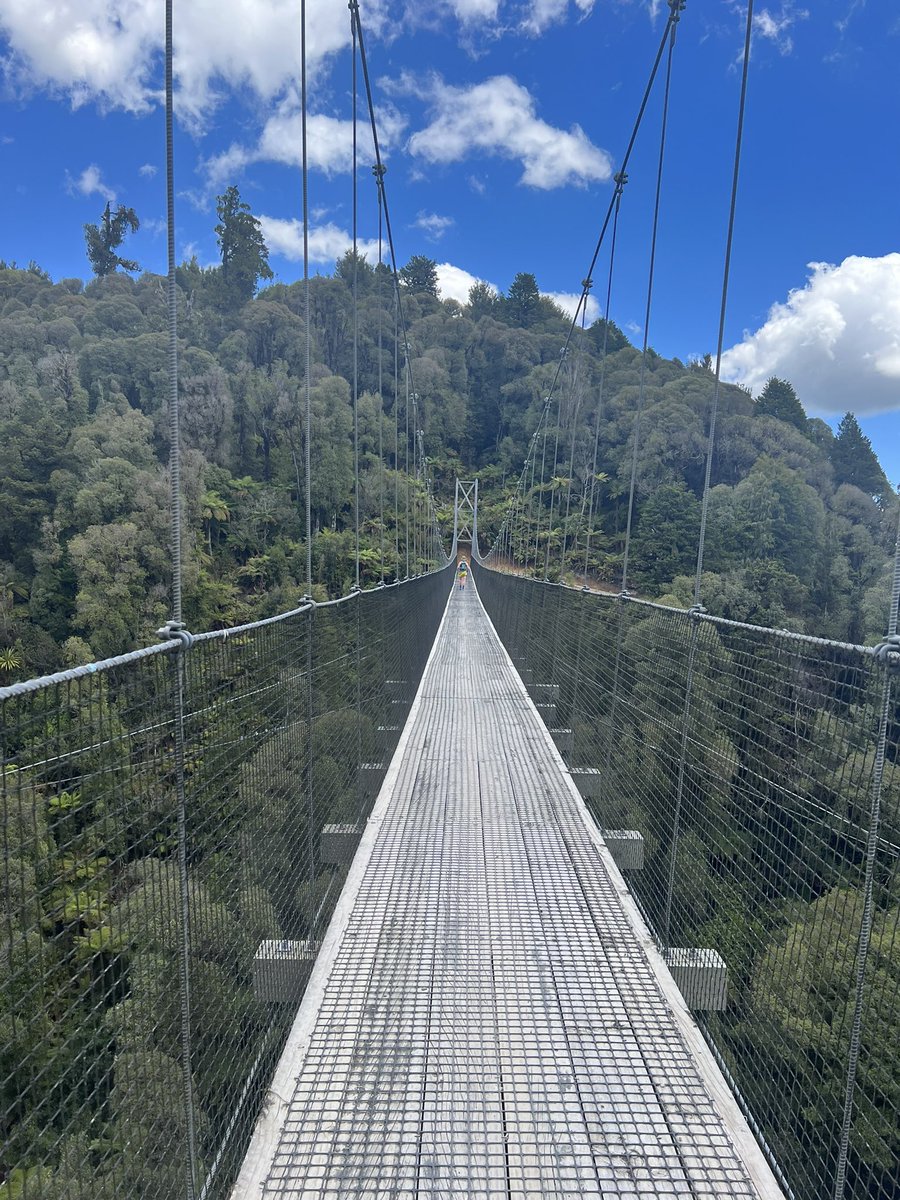 nature14daisuki's tweet image. あけましておめでとうございます✨
Timber trailで2日間初めてのマウンテンバイクに乗ったんだけど下りでコントロールを失ってバイクのフレームに股間強打した1日目とウィスキーの二日酔いでアップダウンずっと頭痛かった2日目😂何はともあれ楽しかった✌️
#teararoa