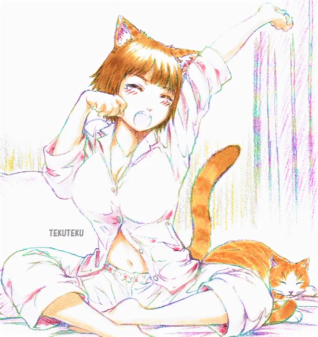 オイラは左右反転の絵をうpする場合はちゃんと合わせを描き直している～ #猫好き #illustration #オリジナルイラスト  