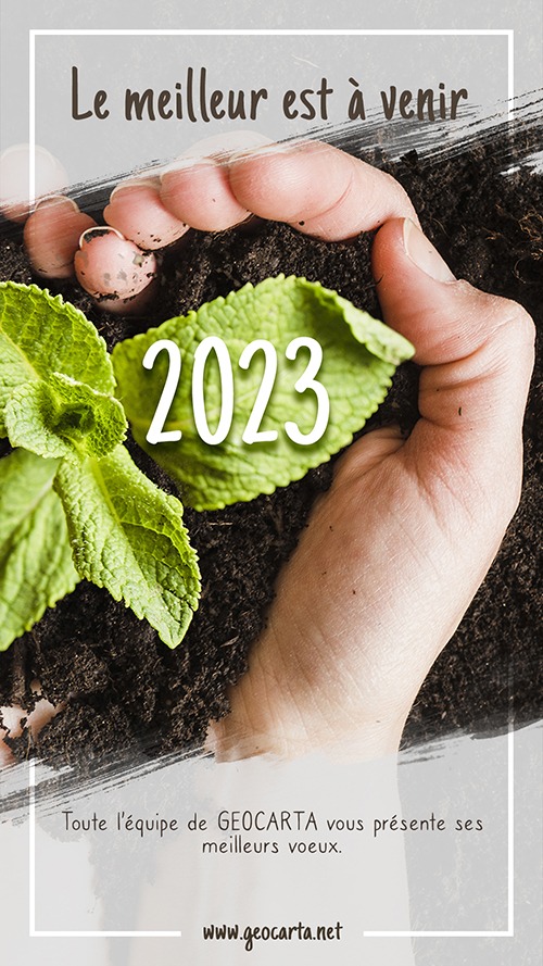 GEOCARTA tweet media