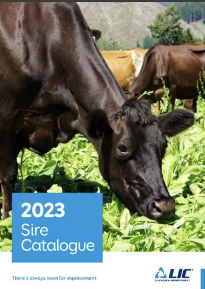 LIC Ireland tweet media