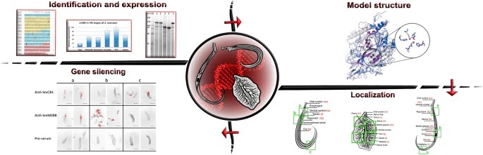IOCB Prague tweet media