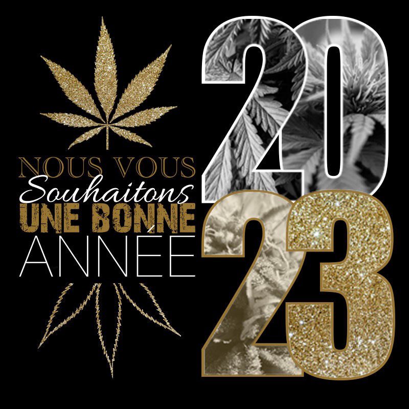 Cbd4Pro1's tweet photo. L’équipe CBD4PRO vous souhaite une merveilleuse année 2023 !🥂

En cette nouvelle année, exclusivités et nouvelles offres sont à venir très prochainement sur https://t.co/wG3bAgauhb ! 🌱

#cbd #cbdwholesale #wholesale #wholesaler #cbdfr #cbdfrance #cbdshop #grossiste #franceverte https://t.co/0E1OYI9RY5