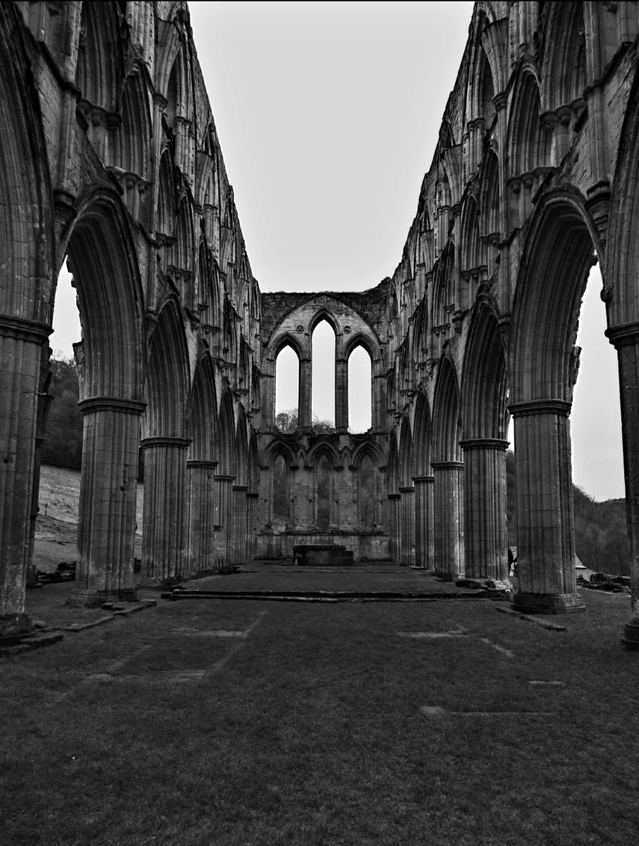 dianeechambers's tweet photo. Some images from Rievaulx Abbey,12th century monastery
#historicalbuildings #religiousbuilding #blackandwhitephotography
#NorthYorkshire
📸 my own https://t.co/UNgfVAJHVx