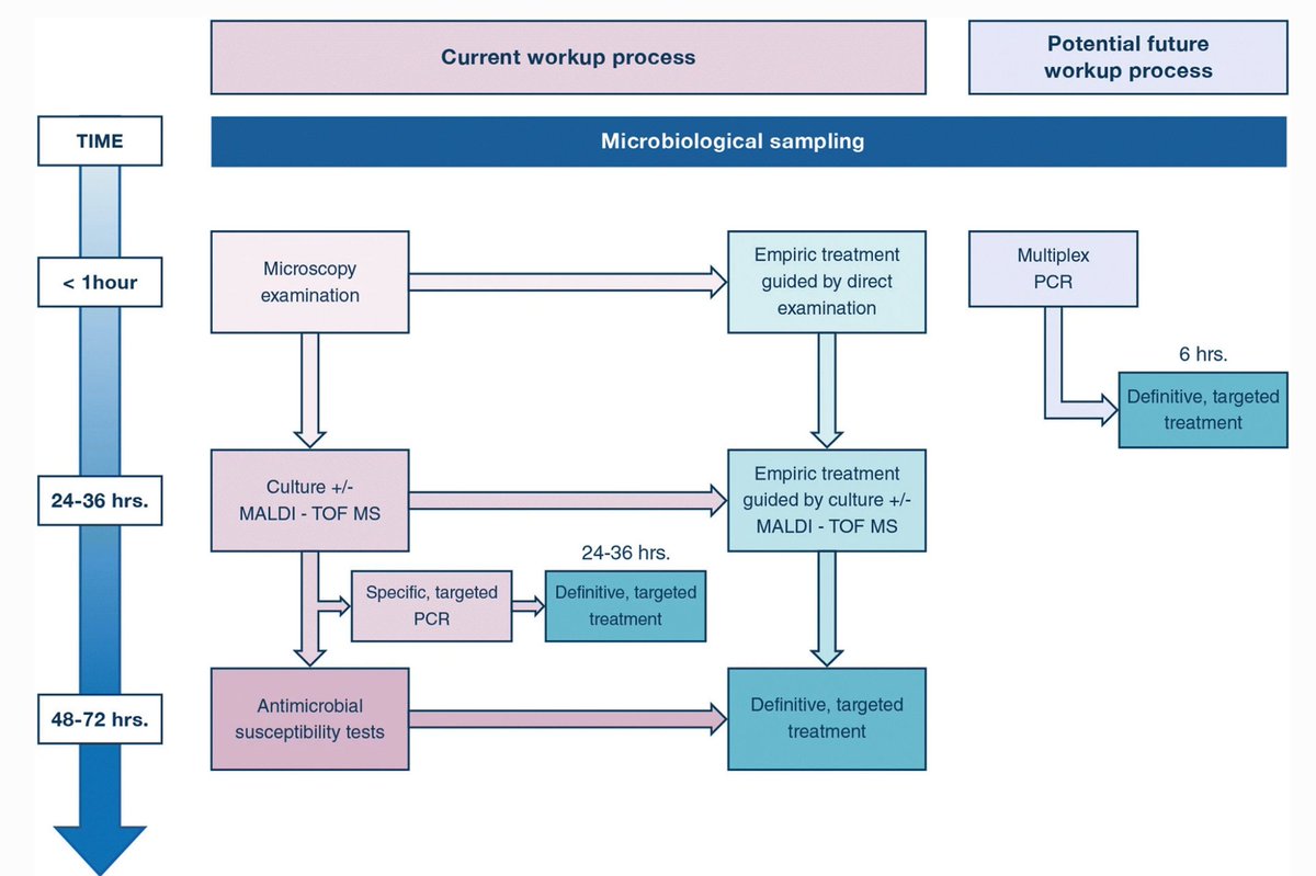 Today's Paper of the Day is by @LaurentPapazian on ventilator-associated pneumonia
criticalcarereviews.com/latest-evidenc…

#criticalcare #intensivecare #ICU #FOAMed #FOAMEDcc #MedTwitter